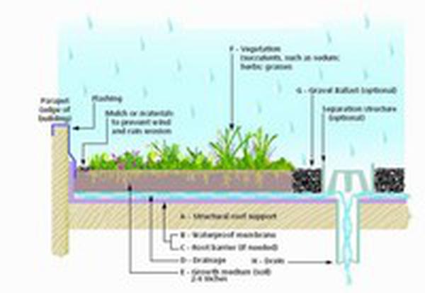 Eco-Roofs | Sandy, OR