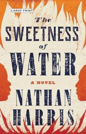 Book cover for The Sweetness of Water.